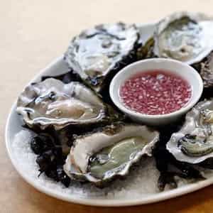 Oysters