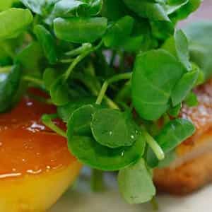 Pork belly