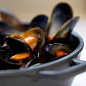 Mussels